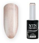 NTN Premium UV/LED Géllakk 199#