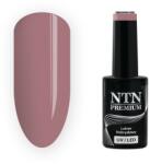 NTN Premium UV/LED 210#