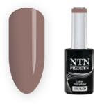 NTN Premium UV/LED 200#