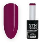 NTN Premium UV/LED 204#