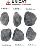 Palm Stone Ochi de Vultur Natural - 42-57 x 33-45 x 13-30 mm - (XXL) - Unicat