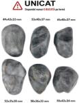 Palm Stone Ochi de Vultur Natural - 49-61 x 31-42 x 23-33 mm - (XXL) - Unicat
