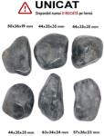 Palm Stone Ochi de Vultur Natural - 44-63 x 34-36 x 19-35 mm - (XXL) - Unicat