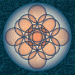 Embryo AUF AUF - facethemusic - 7 890 Ft