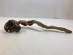INVITAL Red Moor Wood XL 50-60cm (ID Z05867)