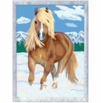 Ravensburger Pictura pe numere Pisicute (art_RVSPBN28938)