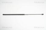 TRISCAN Amortizor capota TRISCAN 8710 29125 (8710 29125) - automobilus