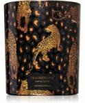 Vila Hermanos Jungletopia Savage Africa illatgyertya 200 g