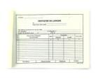  Dispozitie de livrare, format A5, orientare vedere, 100 file (DISLIV)