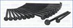 AJUSA Set surub, chiulasa AJUSA 81029000 (81029000)