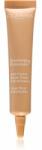 Clarins Everlasting Concealer Long-Wear & Hydration овлажняващ коректор против тъмни кръгове цвят 03 12ml