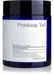 Pyunkang Yul Moisture Cream хидратиращ крем за лице 100ml
