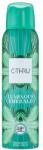 C-thru Luminous Emerald - Deodorant-spray 150 ml