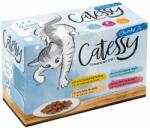 Catessy Catessy Bucățele în gelatină - 48 x 100 g cu 4 sortimente diferite