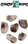  Cuart Shamanic - Lodolit Rulat Natural - 20-28 x 12-20 mm - ( M ) - 1 Buc