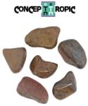 Bronzit Rulat Natural - 32-43 x 25-31 mm - ( XL ) - 1 Buc