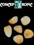  Calcit Galben Rulat Natural - 22-33 x 18-27 mm - ( L ) - 1 Buc