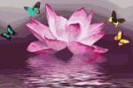  Festés számok szerint - Lótus és lepkék Méret: 40x60cm, Keretezés: Keret nélkül (csak a vászon)