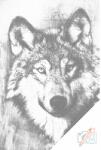  PontPöttyöző - Illuszráció farkasról Méret: 40x60cm, Keretezés: Keret nélkül (csak a vászon), Szín: Piros