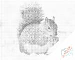  PontPöttyöző - Mókus makkal Méret: 40x50cm, Keretezés: Keret nélkül (csak a vászon), Szín: Fekete