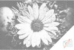  PontPöttyöző - Vízcseppek virágon Méret: 40x60cm, Keretezés: Keret nélkül (csak a vászon), Szín: Kék