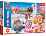 Trefl Paw Patrol - Skye în acțiune 100 piese (16368) Puzzle