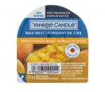 Yankee Candle Mango Peach Salsa ceară parfumată 22 g unisex