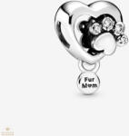 Pandora charm - 798873C01