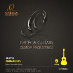 Ortega GLNY-6 - kytary