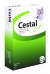 Ceva Cestal Cat 80/20 mg comprimate masticabile pentru pisici - folie cu 2 cp