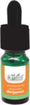 PLANTECO Ulei esential organic Bergamot, 5 ml, Planteco