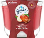 Glade Maxi Cosy Apple & Cinnamon 224 g