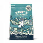 Lily's Kitchen Lilys Kitchen for Dogs Salmon Supper Adult Dry Food 1kg