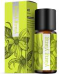 Energy Ylang Ylang 10ml