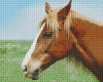 Pixelhobby Pixel szett 4 normál alaplappal, színekkel, ló (804437)