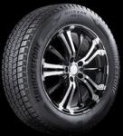 Bridgestone Blizzak DM-V3 225/55 R19 99T
