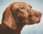 Pixelhobby Pixel szett 4 normál alaplappal, színekkel, kutya, vizsla (804466)