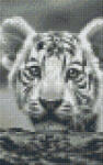 Pixelhobby Pixel szett 2 normál alaplappal, színekkel, tigriskölyök (802108)
