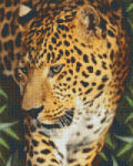 Pixelhobby Pixel szett 16 normál alaplappal, színekkel, leopárd (816187)