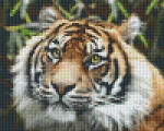 Pixelhobby Pixel szett 4 normál alaplappal, színekkel, tigris (804460)
