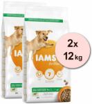 Iams Dog Adult Large Breed, Lamb 2 x 12 kg