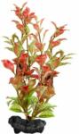  TETRA Ludwigia Repens (Red Ludwigia) - plantă Tetra 23 cm, M
