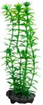  TETRA Egeria densa (Anacharis) - plantă Tetra 23 cm, M