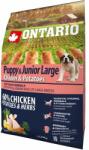 ONTARIO ONTARIO Puppy & Junior Large - chicken & potatoes 2, 25kg