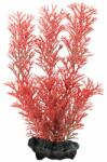  TETRA Myriophyllum Heterophyllum (Red Foxtail) - plantă Tetra 15 cm, S