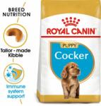 Royal Canin ROYAL CANIN COCKER JUNIOR - 3 kg