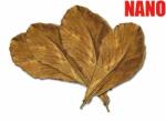  ABC-ZOO Migdale de mare-frunze uscate NANO, 12 bucăți