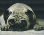 Pixelhobby Pixel szett 4 normál alaplappal, színekkel, kutya, bulldog (804224)