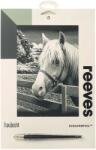 Reeves Gravura predesenata Silver Pony Reeves Carte de colorat