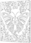 Atelier Panza sasiu predesenata Butterfly Pintcolor Carte de colorat